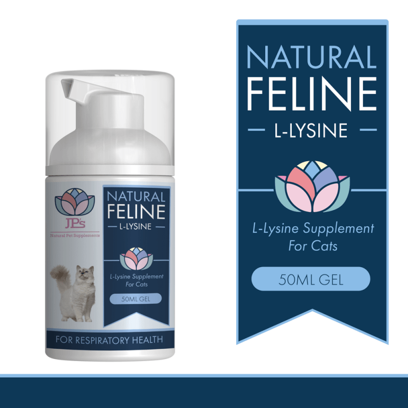 Natural L - Lysine Supplement for Cats - Bodily Function - British D'sire