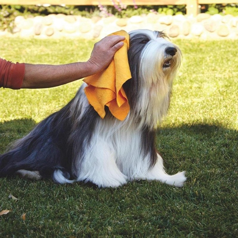 Nixiara Chamois Towel | Multi - Purpose Cleaning Shammy Drying Super Absorbent Cloth | Cleaning Shammy Cloth Machine Washable For Car Dryingfor Window, Floors - Cleaning Cloth - British D'sire