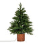 Norway Fir Pre-Lit LLED 300L Fir Tree In Rattan Pot - Christmas Decor - British D'sire