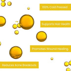 Organic Black Seed Oil - 100% Natural Anti - Inflammatory Immune Support - Herbal - PURE ORGANIC BLACK SEED OIL - British D'sire