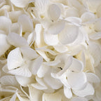 Oversized White Hydrangea Artificial Flower Stem - Artificial Flowers & Stems - British D'sire