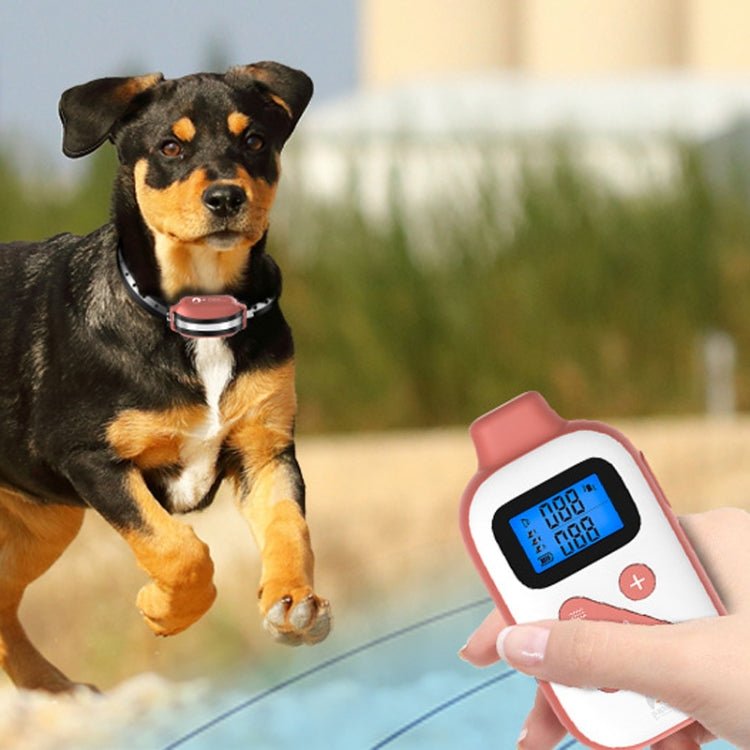 PaiPaitek PD523 1000m Remote Control Rechargeable Waterproof Dog Trainer - British D'sire Main image