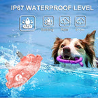 PaiPaitek PD523 1000m Remote Control Rechargeable Waterproof Dog Trainer - British D'sire