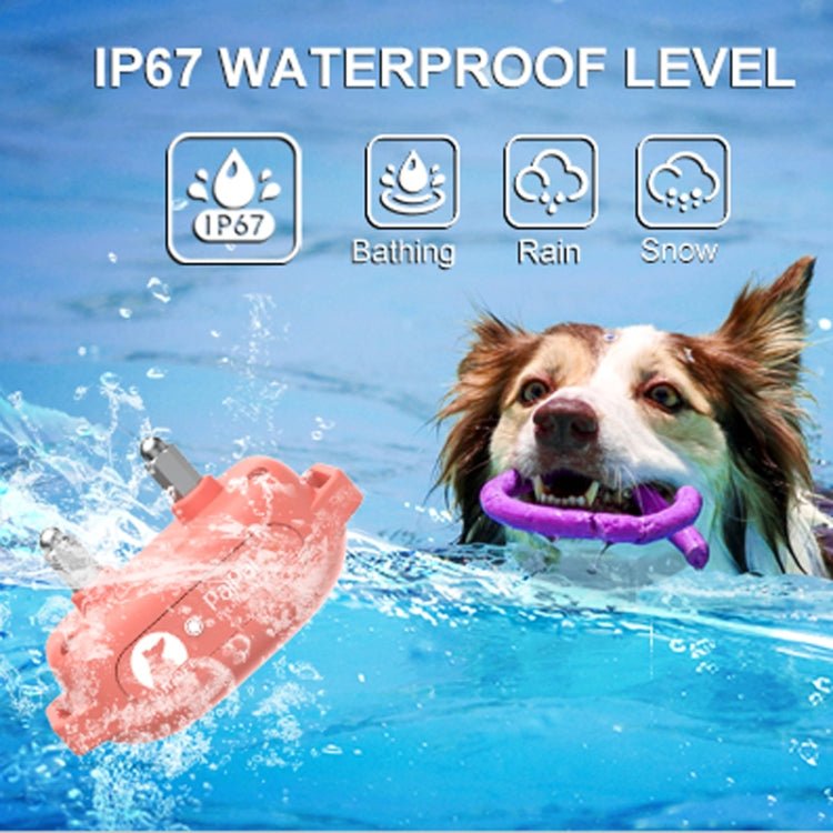 PaiPaitek PD523 1000m Remote Control Rechargeable Waterproof Dog Trainer - British D'sire