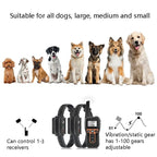 PaiPaitek PD529 - 3 Remote Control Dog Training Device Voice Control Barking Stopper Electronic Collar Dog Training Device - British D'sire
