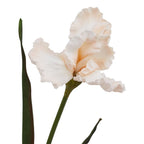 Pale Apricot Fringed Iris Artificial Flower Stem - Artificial Flowers & Stems - British D'sire