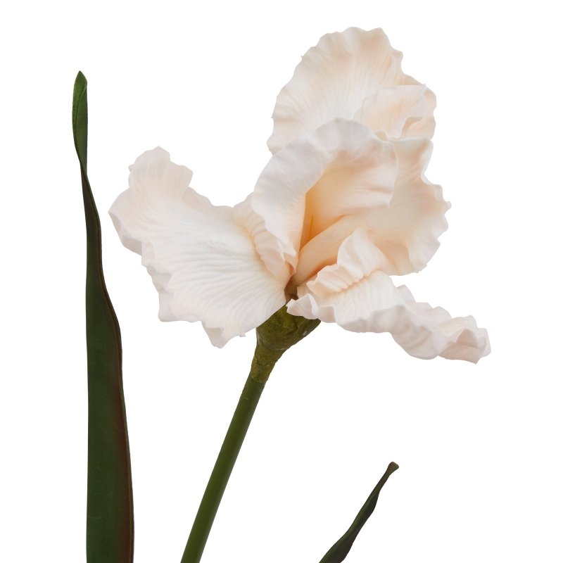 Pale Apricot Fringed Iris Artificial Flower Stem - Artificial Flowers & Stems - British D'sire