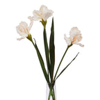 Pale Apricot Fringed Iris Artificial Flower Stem - Artificial Flowers & Stems - British D'sire