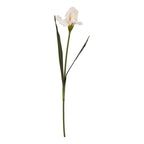 Pale Apricot Fringed Iris Artificial Flower Stem - Artificial Flowers & Stems - British D'sire