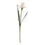 Pale Apricot Fringed Iris Artificial Flower Stem - Artificial Flowers & Stems - British D'sire