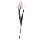 Pale Pink Fringed Iris Artificial Flower Stem - Artificial Flowers & Stems - British D'sire