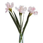 Pale Pink Fringed Iris Artificial Flower Stem - Artificial Flowers & Stems - British D'sire