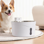 Pet Water Fountain Ultra Quiet with Three Water Flow Modes - Pet Water Fountain - British D'sire