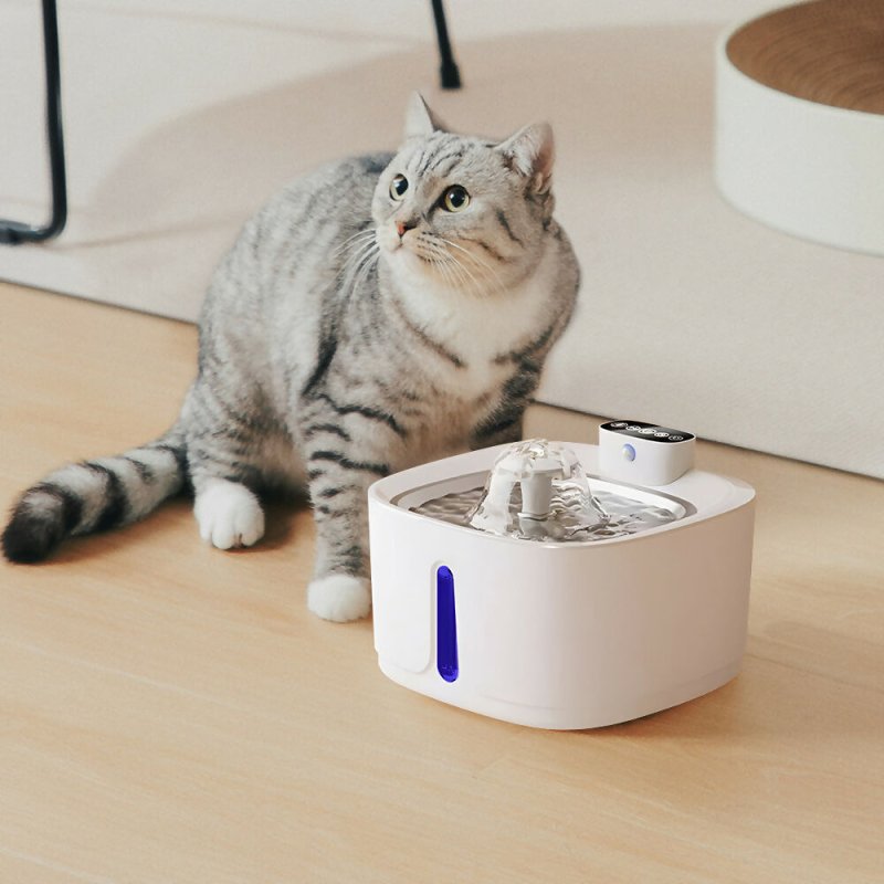 Pet Water Fountain Ultra Quiet with Three Water Flow Modes - Pet Water Fountain - British D'sire