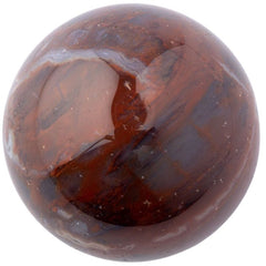 Petrified Wood Sphere 25-30mm - British D'sire
