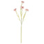Pink Cornflower Stem Artificial Flower Stem - Artificial Flowers & Stems - British D'sire