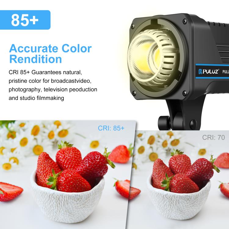 PULUZ 220V 120W Studio Video Light Dual Color Temperature Built-in Dissipate Heat System with Remote Control(EU Plug) - British D'sire