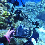 PULUZ Dual Aluminum Alloy Clamp for Underwater Arm System - British D'sire