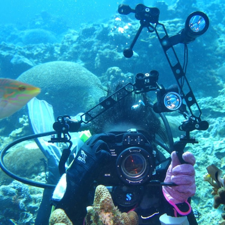 PULUZ Dual Aluminum Alloy Clamp for Underwater Arm System - British D'sire