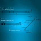 QUICKO T12 - D24 Black Welding Lead - free Soldering Iron Tip - British D'sire