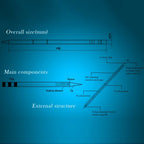QUICKO T12 - J02 Lead - free Soldering Iron Tip - British D'sire