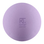 Real Techniques Miracle Skin Sponge: Tone + Stimulate - Makeup Sponges - British D'sire