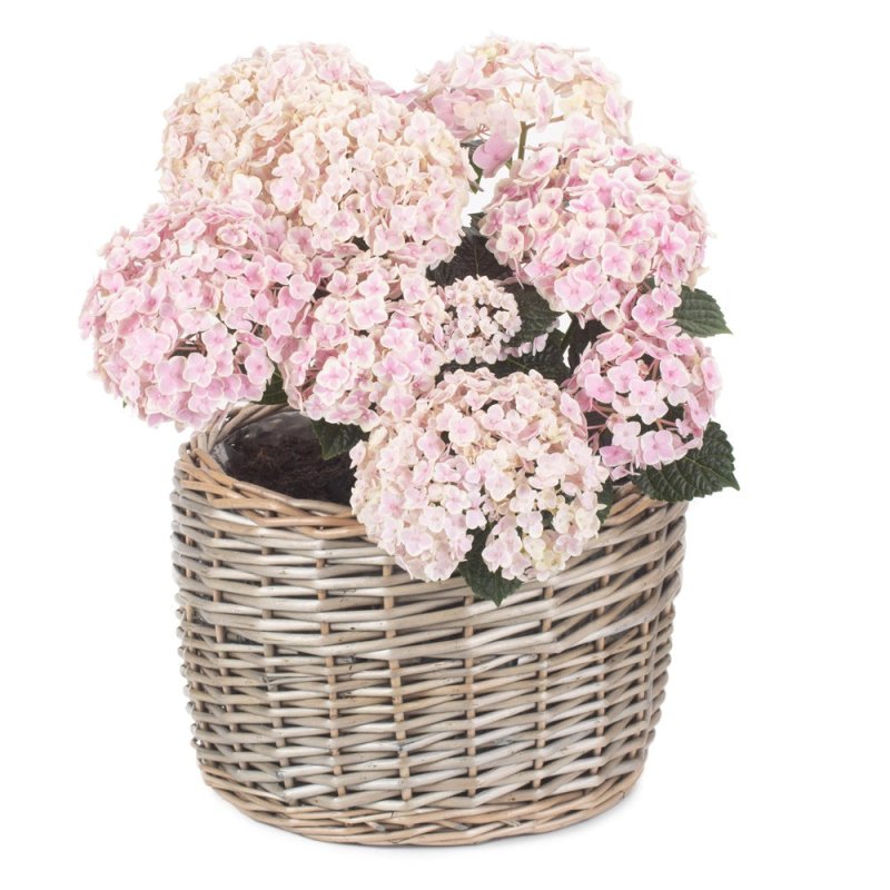 Round Antique Wash Wicker Planter - Trugs - British D'sire