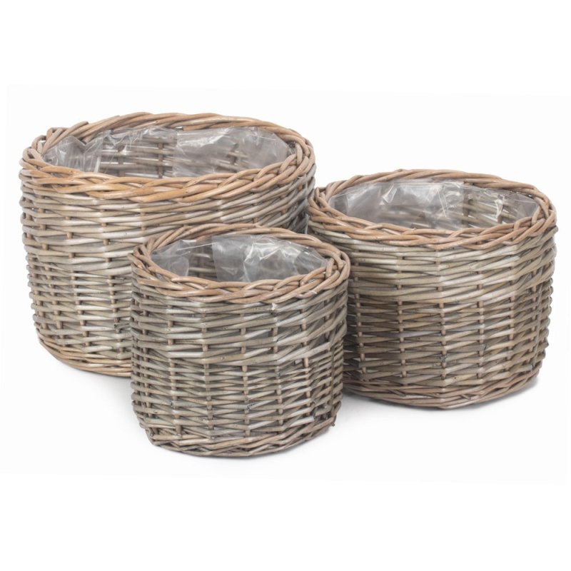 Round Antique Wash Wicker Planter - Trugs - British D'sire Main image