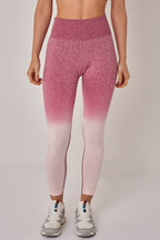 Seamless Sculpt Activewear Set – High Waist Gym Leggings & Padded Sports Bra - Activewear Set - British D'sire