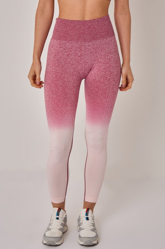 Seamless Sculpt Activewear Set – High Waist Gym Leggings & Padded Sports Bra - Activewear Set - British D'sire