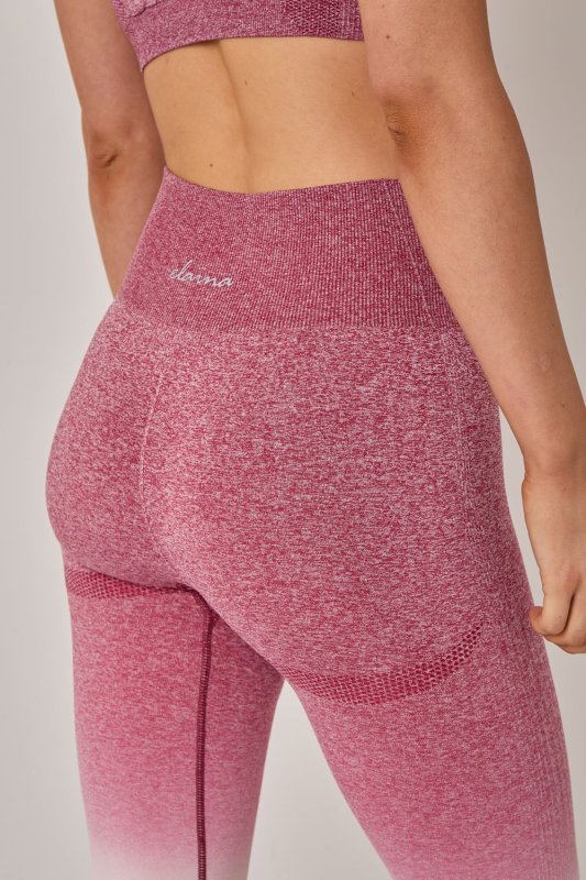 Seamless Sculpt Activewear Set – High Waist Gym Leggings & Padded Sports Bra - Activewear Set - British D'sire