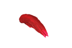 Shamanic The Energy of the Amazon Pigment Pure Red 35 - Lip Makeup - British D'sire