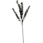 Silver Dollar Eucalyptus Artificial Flower Stem - Artificial Plants & Trees - British D'sire