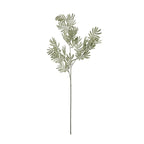 Silver Wattle Leaf Artificial Flower Stem - Artificial Plants & Trees - British D'sire