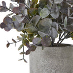 Small Eucalyptus Cinerea Plant In Grey Pot Artificial Flower Stem - Artificial Plants & Trees - British D'sire