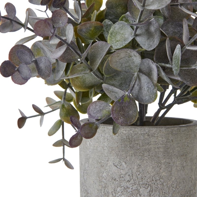 Small Eucalyptus Cinerea Plant In Grey Pot Artificial Flower Stem - Artificial Plants & Trees - British D'sire