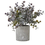 Small Eucalyptus Cinerea Plant In Grey Pot Artificial Flower Stem - Artificial Plants & Trees - British D'sire