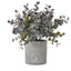 Small Eucalyptus Cinerea Plant In Grey Pot Artificial Flower Stem - Artificial Plants & Trees - British D'sire