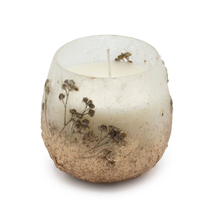 Small Glass Jar Candles - Wildlight Woods - Glass Jar Candles - British D'sire Main image