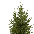 Small Green Fir Tree In Wood Log - Christmas Decor - British D'sire