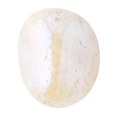 Product Image-3