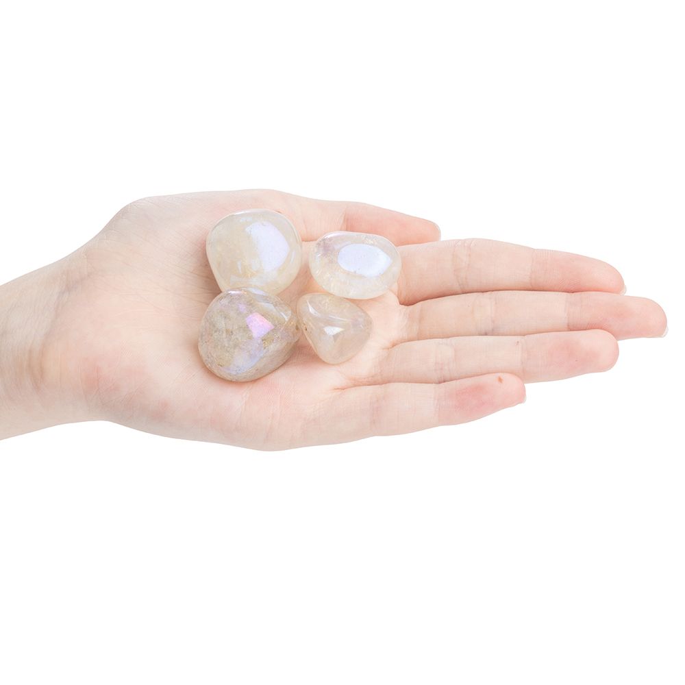 Product Image-4