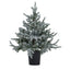Snowy Forest Fir Pre-Lit Led 300L Christmas Tree In Pot - Christmas Decor - British D'sire