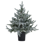 Snowy Forest Fir Pre-Lit Led 300L Christmas Tree In Pot - Christmas Decor - British D'sire