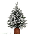 Snowy Norway Fir Pre-Lit Led 300L Fir Tree In Rattan Pot - Christmas Decor - British D'sire