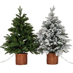 Snowy Norway Fir Pre-Lit Led 300L Fir Tree In Rattan Pot - Christmas Decor - British D'sire