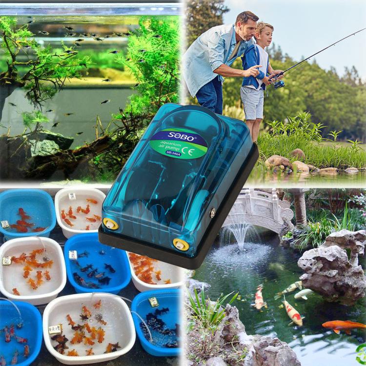 SOBO SB - 348A 5W Double - hole 220 - 240V Transparent Ultra - Quiet Aquarium Air Pump - British D'sire