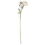 Soft Cream Ranunculus Artificial Flower Stem - Artificial Plants & Trees - British D'sire