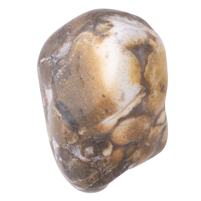 Spotted Agate Large Tumblestone 3-4cm - British D'sire