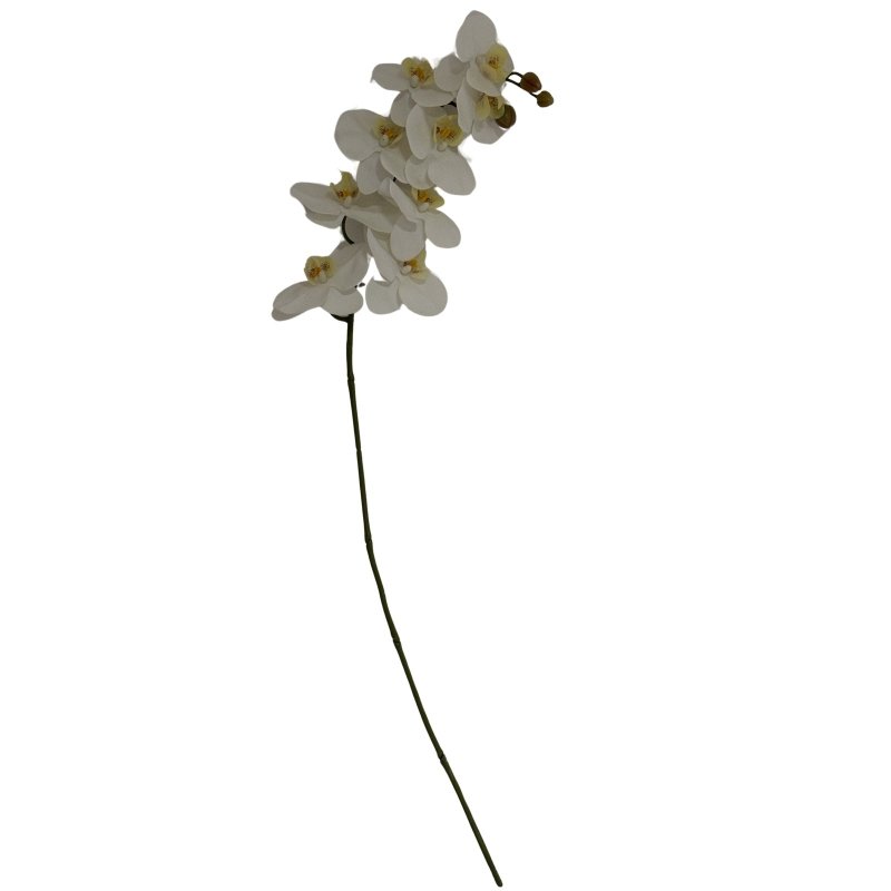 Tall White Butterfly Orchid Stem Artificial Flower Stem - Artificial Plants & Trees - British D'sire